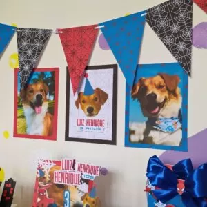 Kits Festa em Casa: Bolinho